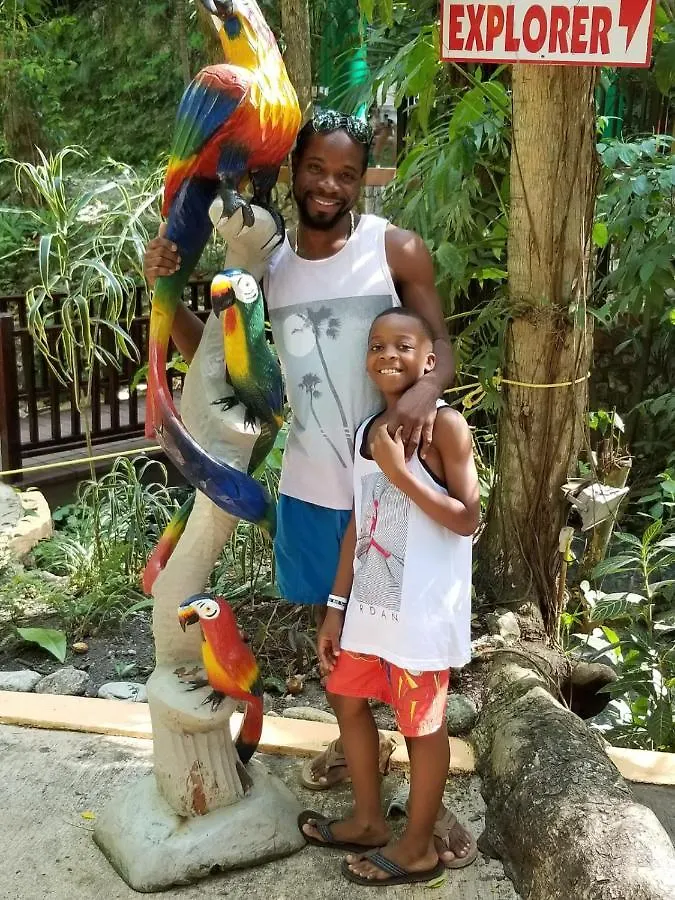 Holiday home Sehfeh Luxury Vacation Home Falmouth Jamaica