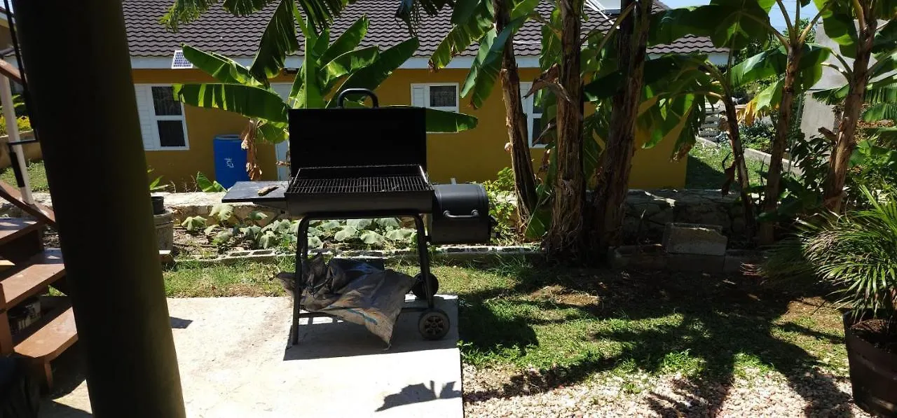 Sehfeh Luxury Vacation Home Falmouth 0*,  Jamaica